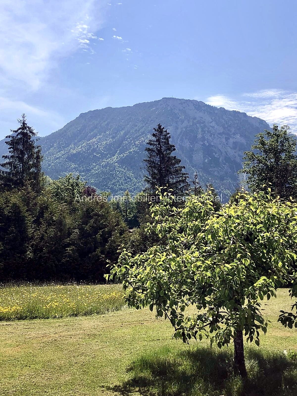 Baugrundstück Ruhpolding mit Bergblick
